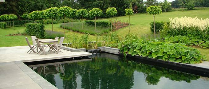 Maison avec piscine et jardin, les avantages…
